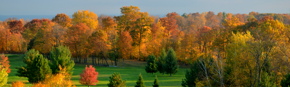 The Whitetail Woodcrest Golf Club